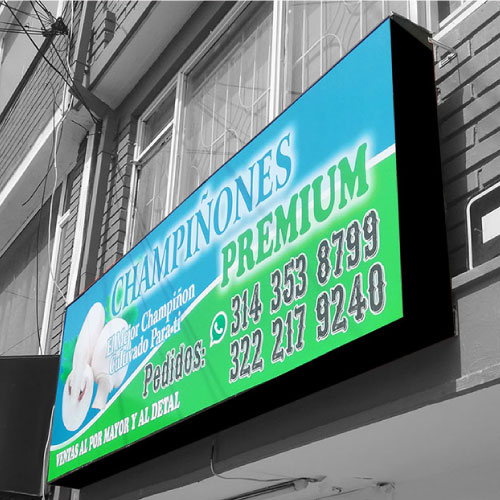 caja de luz en panaflex para fachada comercial